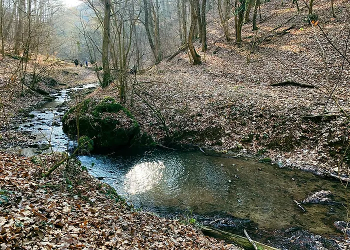 Sikondai Voelgyzugoly Vendeghaz Prázdninový dům *